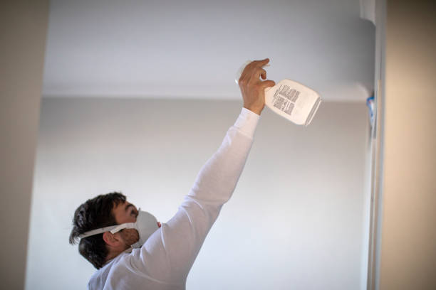 Best Emergency Mold Removal  in Steiner Ranch, TX