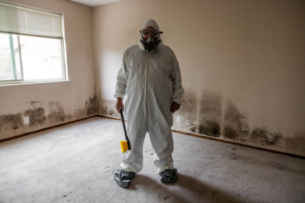 Best Residential Mold Removal  in Steiner Ranch, TX